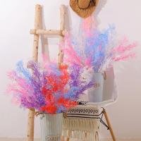 uploads/erp/collection/images/Home Garden/CongDing/XU0610433/img_b/XU0610433_img_b_2